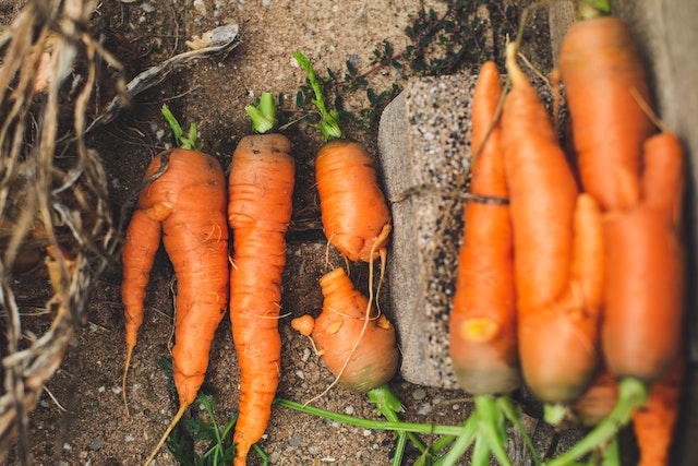 Sostenibilidad, Agricultura, Impacto Social